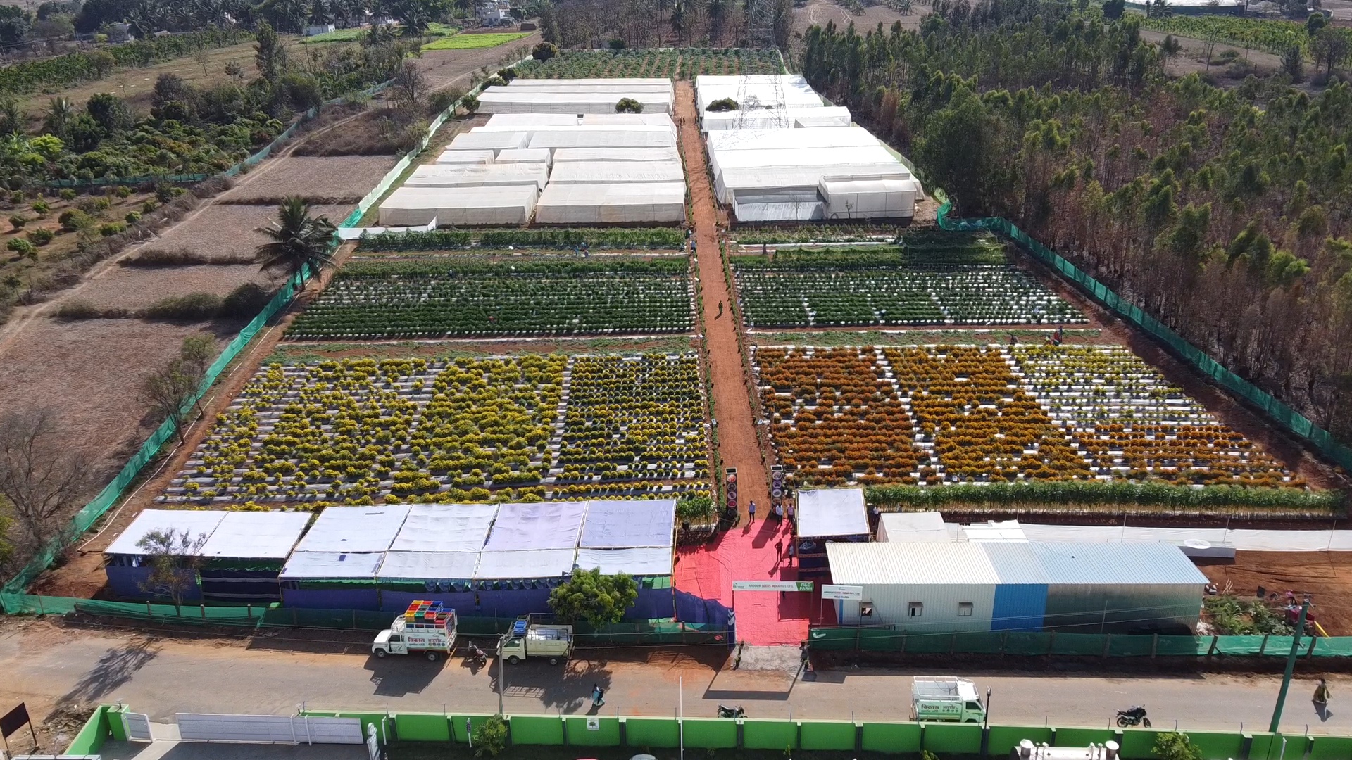 Seed Treatment