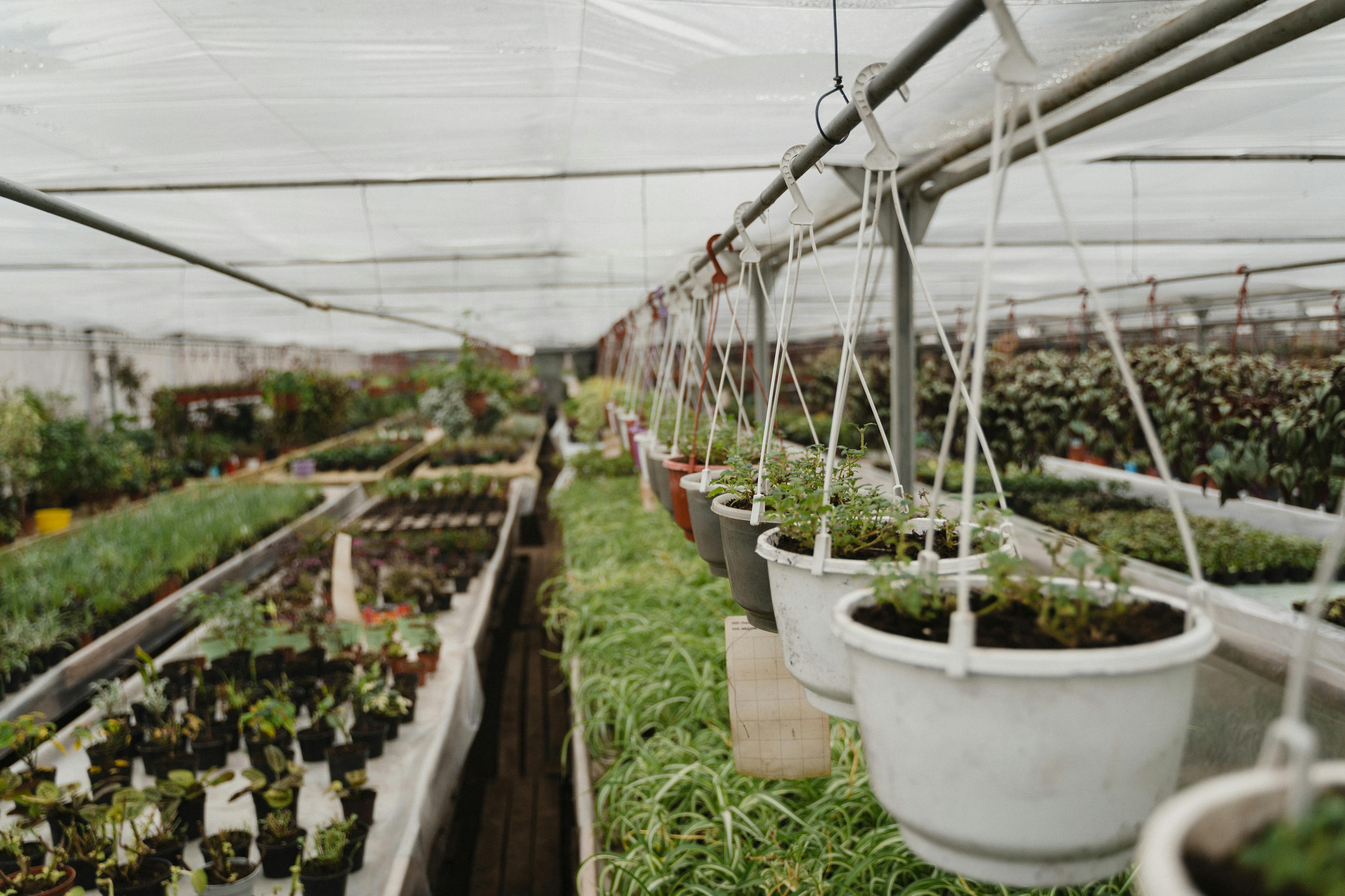 Greenhouse Complex